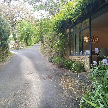 Chambre Du Sabotier - Studio Troglodytique - A 100 M Baignade En Riviere - Location De Canoe - Circuits Cyclo - Aire De Pique-Nique - 3 Restaurants Castelnaud-la-Chapelle Exterior foto